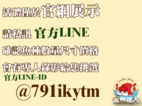 官網燈具疑問加官方賴-活體僅魚官網展示_1392417927