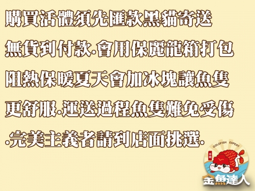 官網燈具疑問加官方賴-活體僅魚官網展示2_1944073137