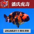 潘氏虎壽1-1網站_761147543
